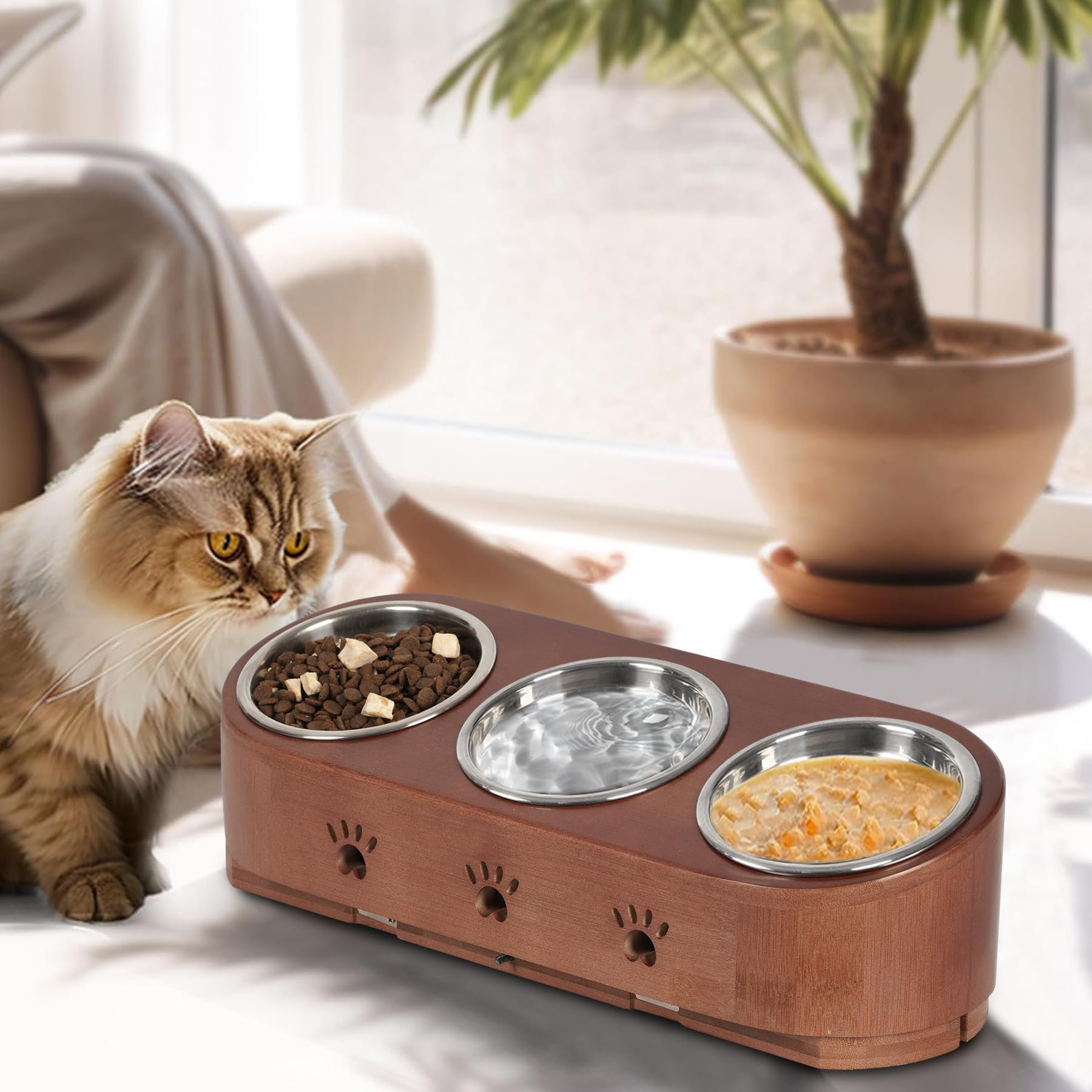 3 fashion bowl raised cat feeder